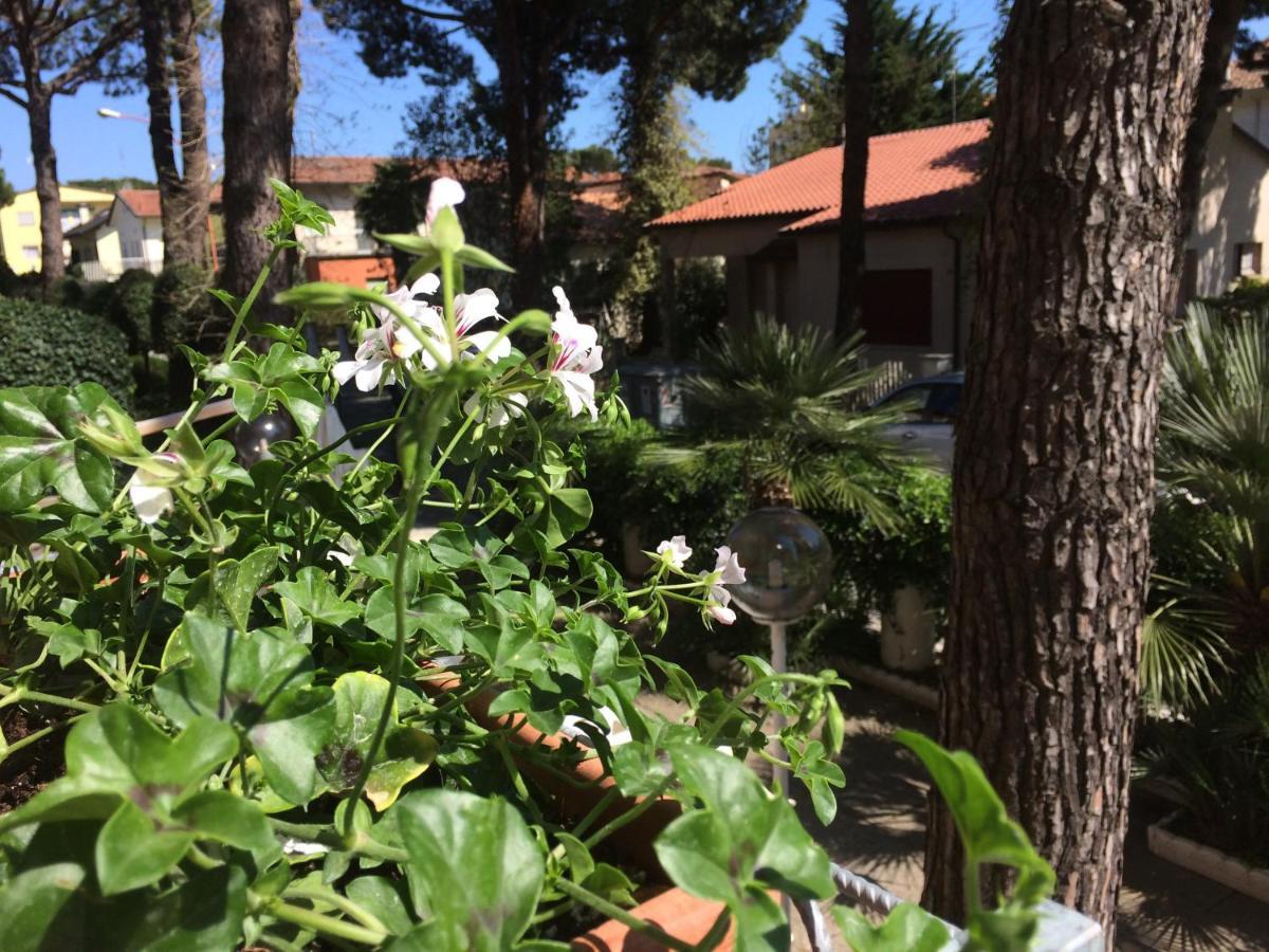 Alice Hotel Cervia Buitenkant foto